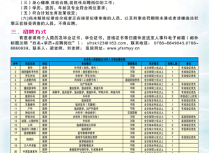 2019年人才招聘计划